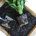 Compressed Coconut Coir - Potting Soil